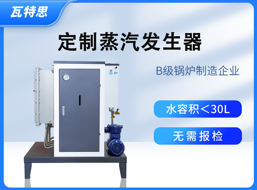 洗涤熨烫蒸汽发生器