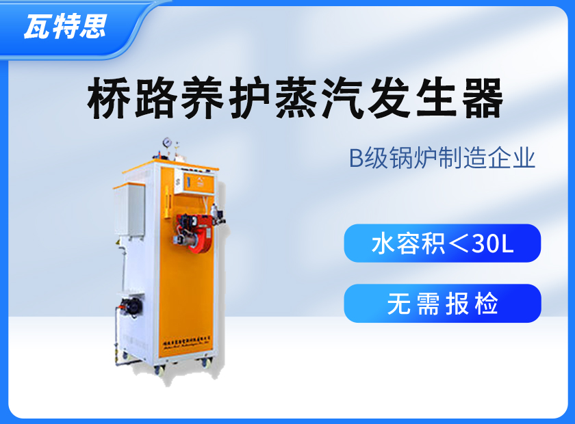 工地混凝土蒸汽养护蒸汽发生器