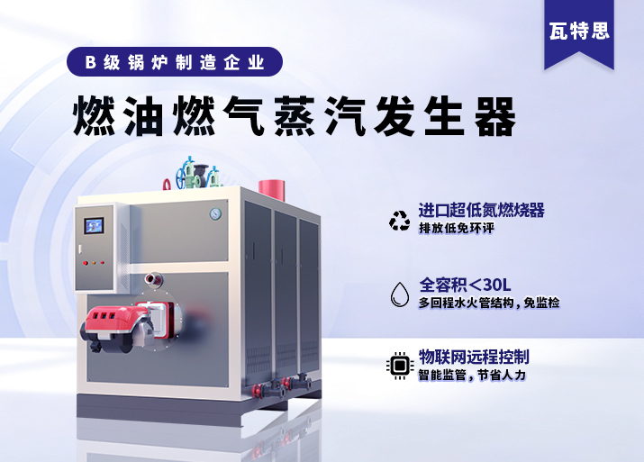 燃油/燃气蒸汽发生器