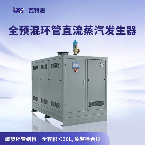 1.0T 环管直流蒸汽发生器
