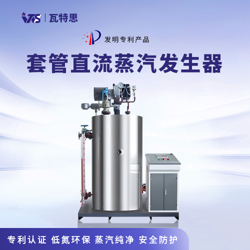 0.5T套管直流蒸汽发生器