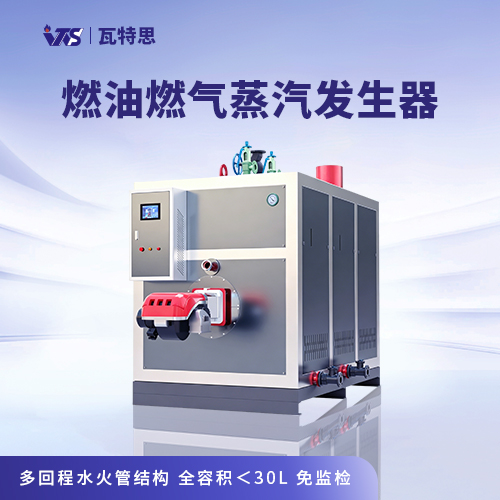 2.0T 燃油燃气蒸汽发生器